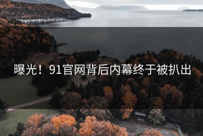 曝光！91官网背后内幕终于被扒出
