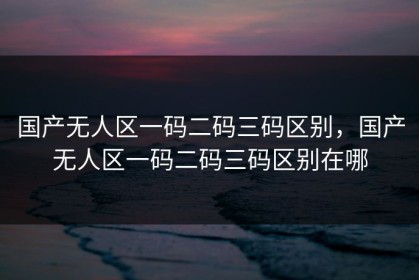 国产无人区一码二码三码区别，国产无人区一码二码三码区别在哪