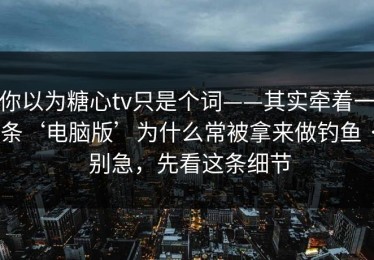 你以为糖心tv只是个词——其实牵着一条‘电脑版’为什么常被拿来做钓鱼 · 别急，先看这条细节