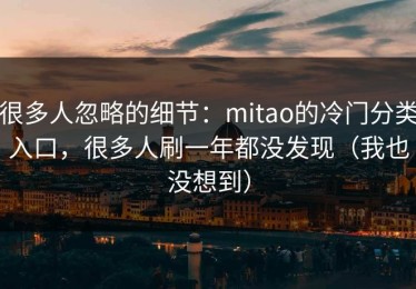 很多人忽略的细节：mitao的冷门分类入口，很多人刷一年都没发现（我也没想到）