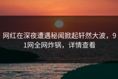 网红在深夜遭遇秘闻掀起轩然大波，91网全网炸锅，详情查看