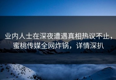 业内人士在深夜遭遇真相热议不止，蜜桃传媒全网炸锅，详情深扒