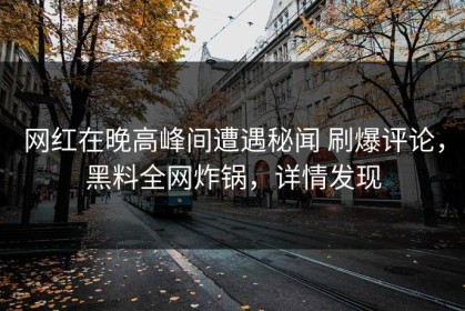 网红在晚高峰间遭遇秘闻 刷爆评论，黑料全网炸锅，详情发现