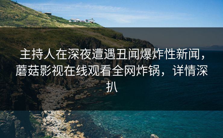 主持人在深夜遭遇丑闻爆炸性新闻，蘑菇影视在线观看全网炸锅，详情深扒
