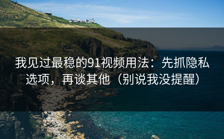我见过最稳的91视频用法：先抓隐私选项，再谈其他（别说我没提醒）
